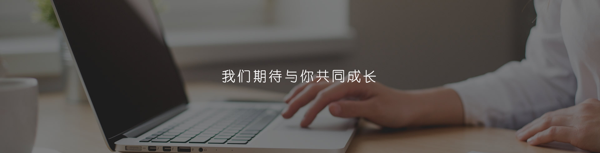 營(yíng)銷(xiāo)網(wǎng)絡(luò)